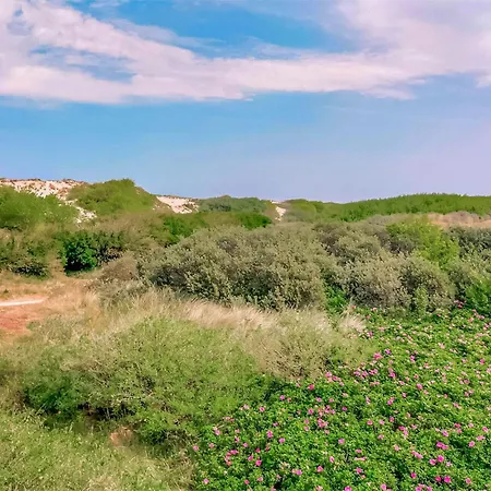 Сasa de vacaciones 2 Bedroom Cozy In *